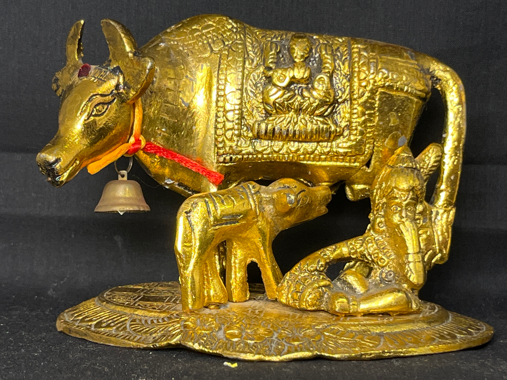 KTD Gopala Kamdhenu Ji Steel No. 62