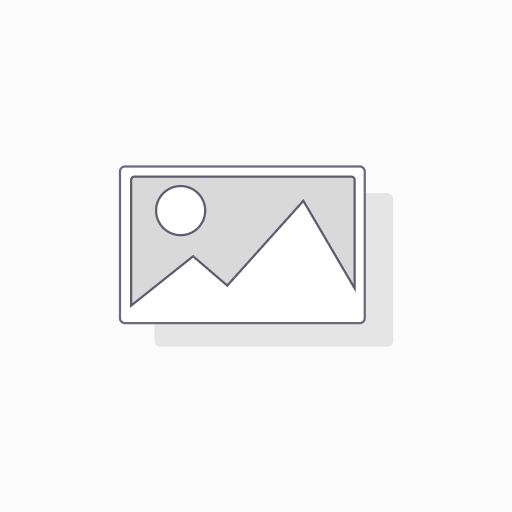 Sticker 2pcs