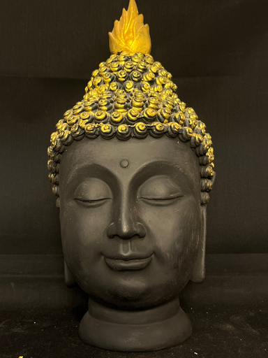 KTD Gopala Gautam Buddha Fibre No. 185